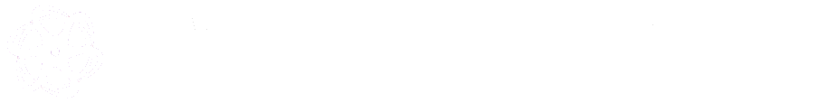 Webagentur-Alpha